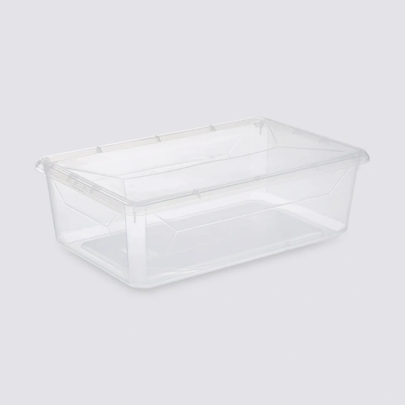 Opbergbakje met deksel 6.5 liter Five®