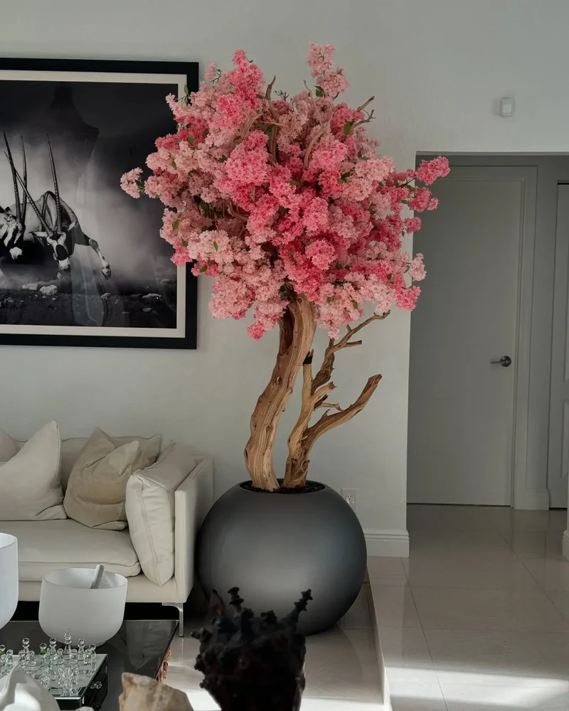 Matte Globe Kersenbloesemboom