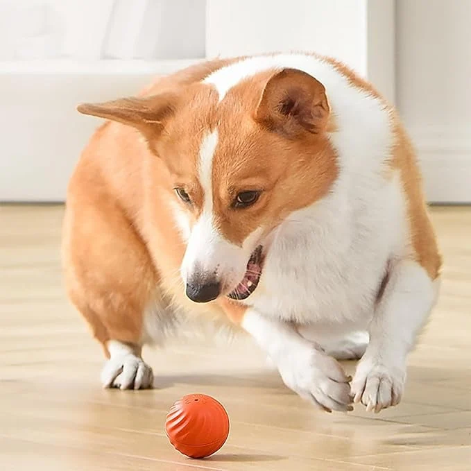 BarkBounce - Interactieve Honden Speelbal