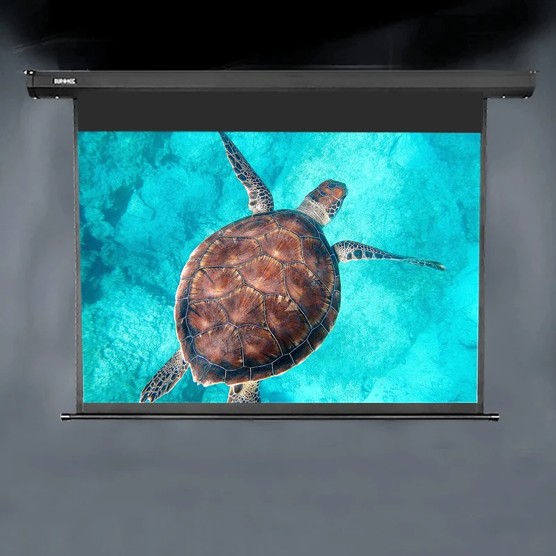 Duronic EPS115 Leinwand | 115 Zoll Rollo mit 254 x 143 cm | 16:9 Heimkino mit 4K Full HD 3D | Projektionsleinwand für Decken- und Wandmontage | Gain 1.0 | Beamerleinwand mit Motor für Fernbedienung