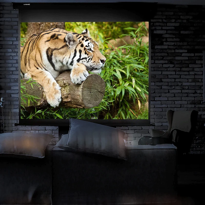 Duronic MPS60 Leinwand, 4:3 Rolloleinwand 60" Zoll 122 x 91 cm, Heimkino mit 4K Full HD 3D, Gain 1.0, Projektionsleinwand für Decken und Wandmontage, Beamerleinwand für Büro und Präsentationen