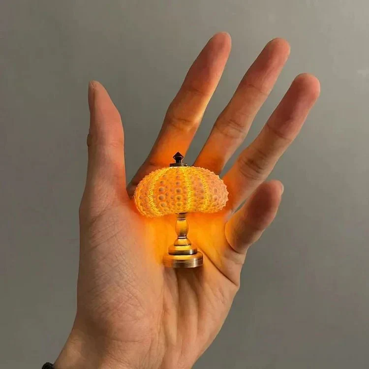 DIY Zee-egel Nachtlamp