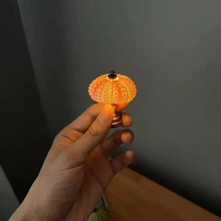 DIY Zee-egel Nachtlamp