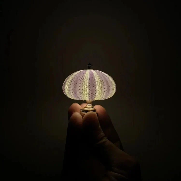DIY Zee-egel Nachtlamp