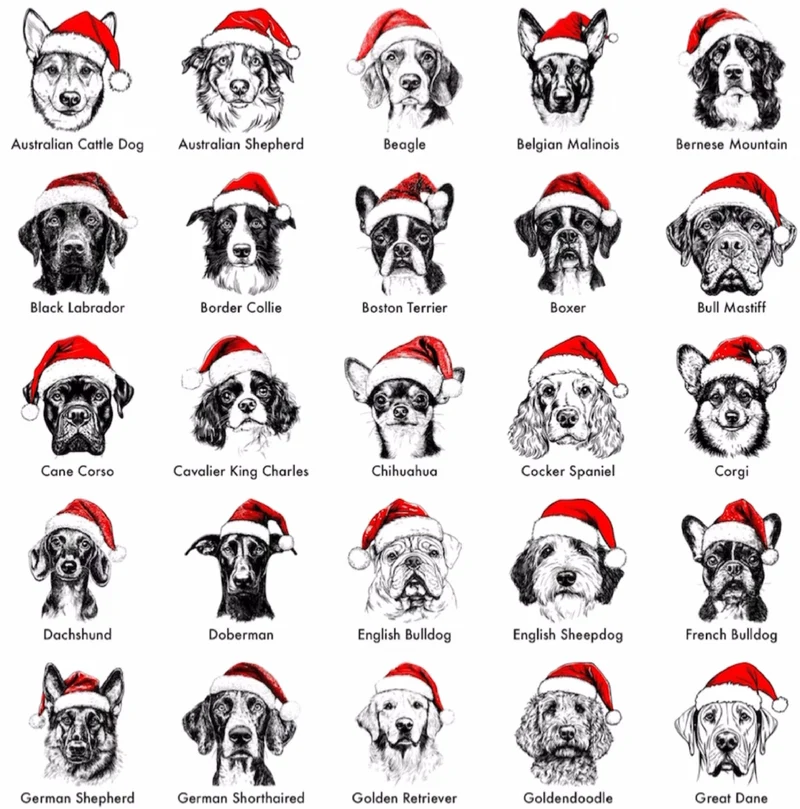 Santa Paws - Kerst-Hondentrui