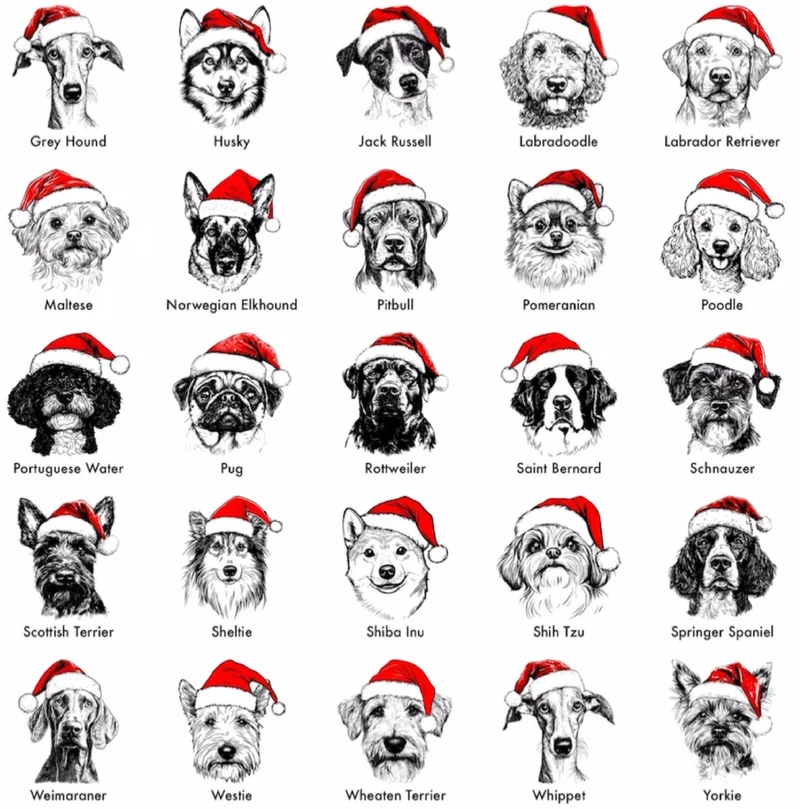 Santa Paws - Kerst-Hondentrui