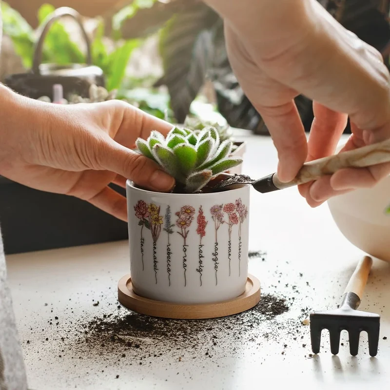 BloomPot Set | Gepersonaliseerde Geboortebloem Plantenpot – Schattige Keramische Cactuspot met Drainage voor Binnengebruik