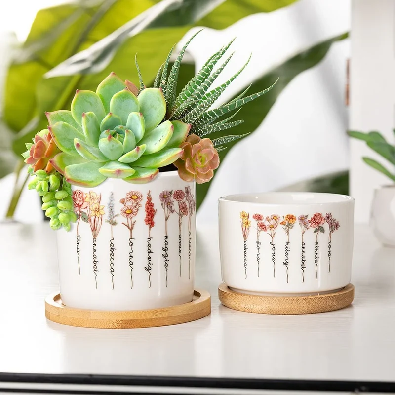 BloomPot Set | Gepersonaliseerde Geboortebloem Plantenpot – Schattige Keramische Cactuspot met Drainage voor Binnengebruik