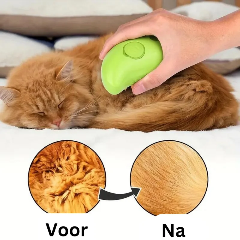 SteamPaws | Uw trouwe viervoeter