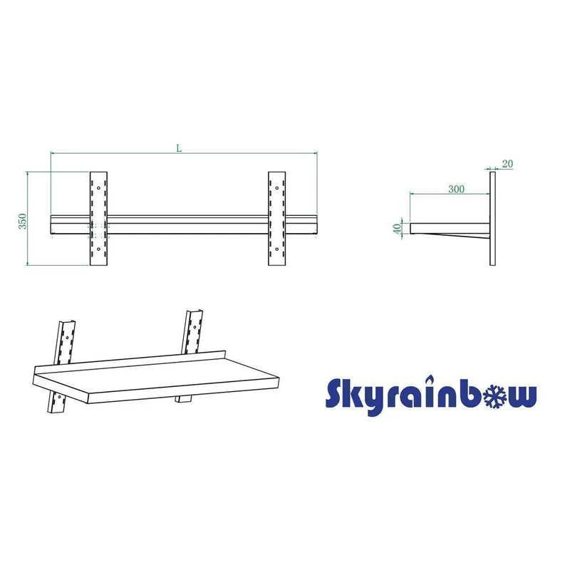 Skyrainbow Wandbord CNS 1 Ebene 1000x300x Höhe Schiene 350 Bord mit Aufkantung 30mm 2 Schienen Höhe 350mm