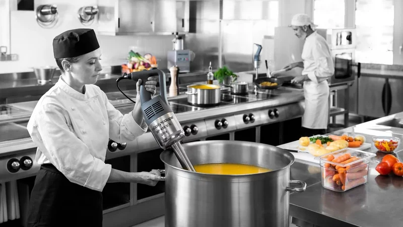 Robot-Coupe Stabmixer MP 450 Ultra V.V. 230V