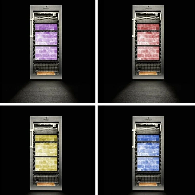 DRY AGER Fleischreifeschrank DX1000 Premium S mit Smart Aging & LED Salzwand Optik