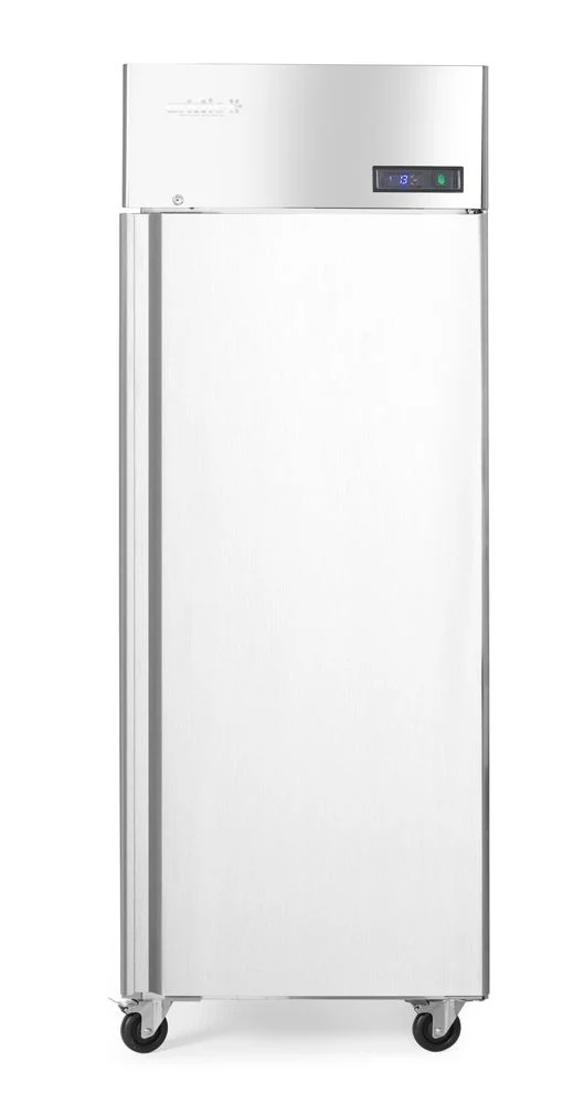 Arktic Tiefkühlschrank – eintürig Profi Line 670 L – Profi Line – 455 l – 230 V / 600 W – 800 × 730 × 2065 mm